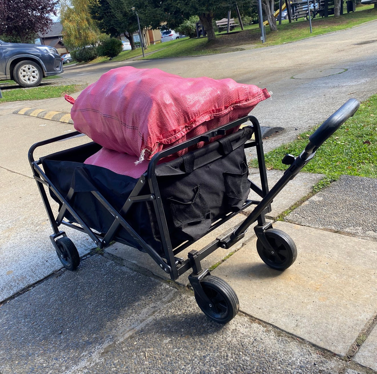 Carrito Plegable Negro - Soporta hasta 100 kg | Ideal para Compras, Mascotas y Transporte Diario